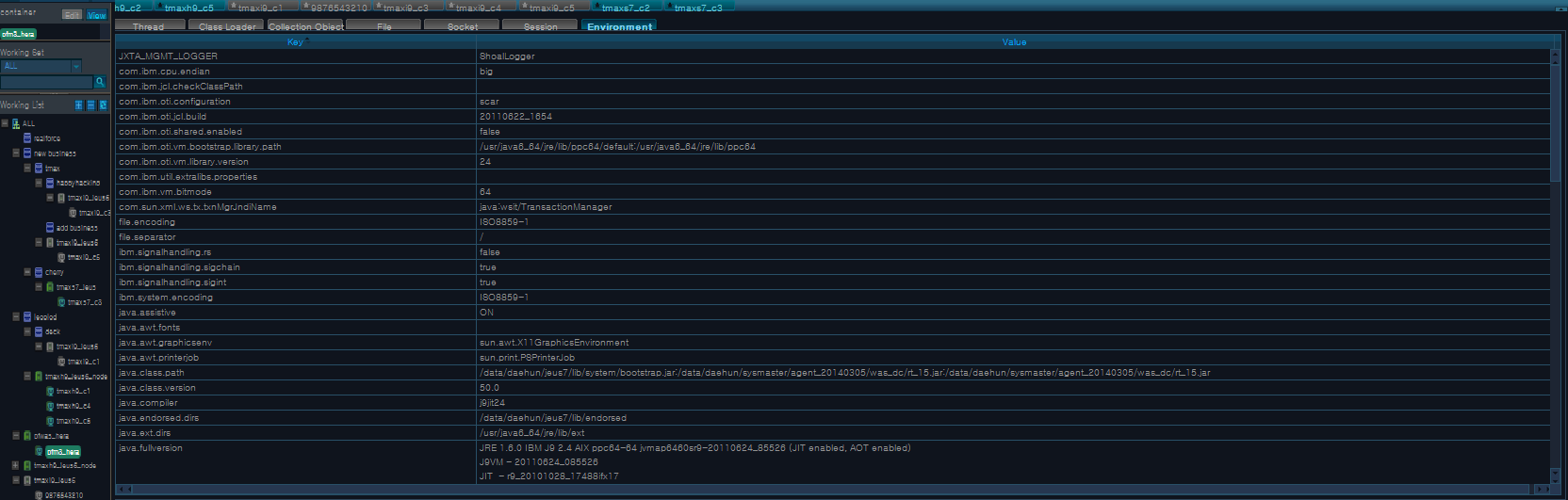 Real-Time Analysis - Snapshot - Environment Variable