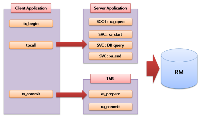 figure xaserver tran