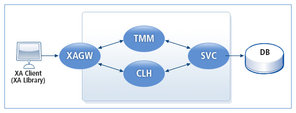 figure 1 1